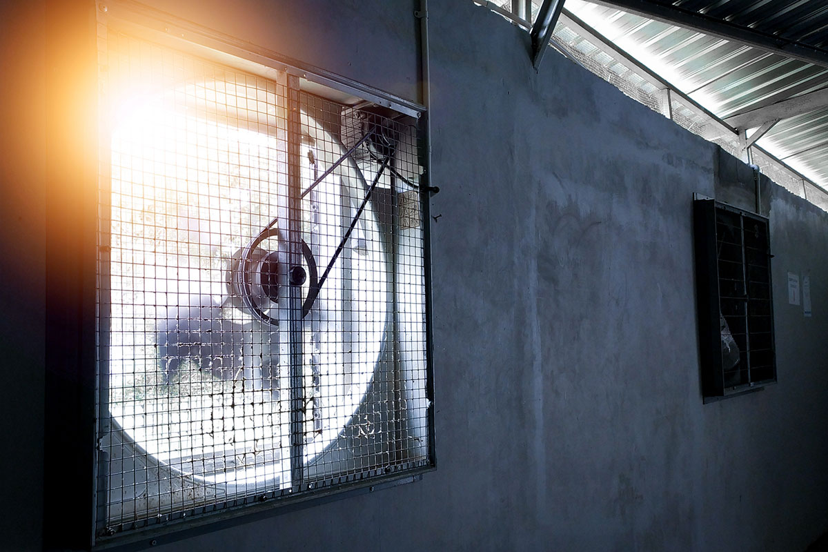 พัดลมดูดกลิ่น VS พัดลมดูดฝุ่น ใช้แทนกันได้ไหม? เลือกให้ถูก ลดปัญหาในโรงงานและอาคาร