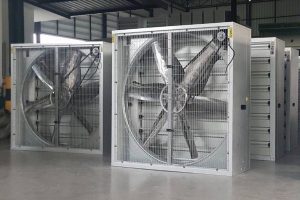 หลักการทำงานของพัดลมเกษตร (Exhaust Fan) คืออะไร? ทำไมโรงเรือนยุคใหม่ขาดไม่ได้