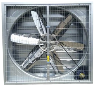 image (1)